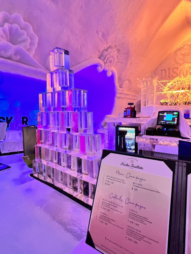 Ice Bar Hotel Du Glace